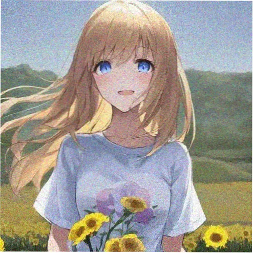 用户星河漫游者的头像